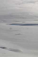 Plateau covered with snow in winter Islande
