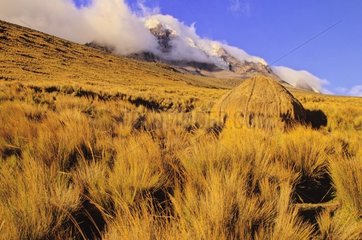 Refuge sur les pentes du volcan Chimborazo Equateur