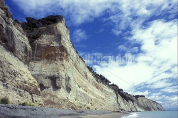Seaside Klippen von bröckeligem Rock -Neuseeland