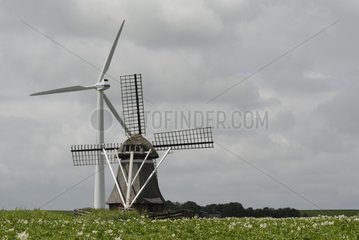 Wind und alte Windmühle Harlingen Niederlande