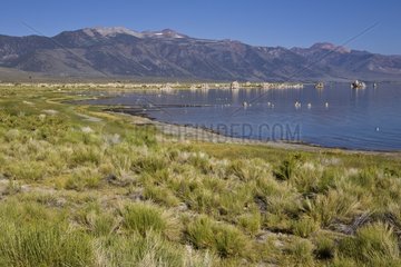 Mono Lake Sierra Nevada California USA