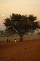Evening in the village of Douentza Mali