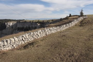 Dry stone wall in the Swiss Jura