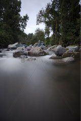 River in tropical forest Costa Rica
