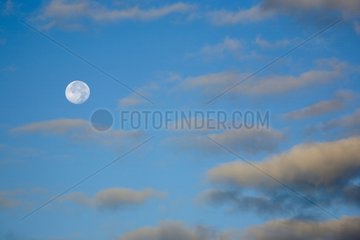 Mond und Wolken in einem blauen Himmel