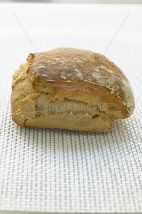 Ciabatta Italian bread