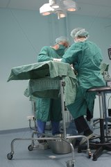 Chirurgie canine réduction d'une fracture France