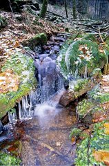 Frozen cascade on a brook Bas-Rhin France