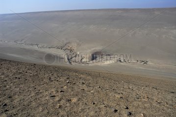 Pampa de Chaca Atacama desert Chili