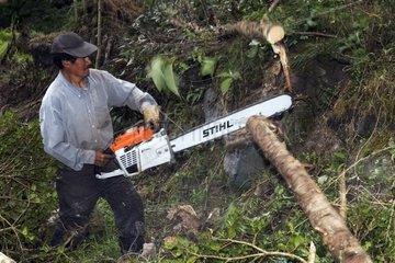 Schneiden Sie einen Baumstamm  bevor Sie in Bretter Ecuador schneiden