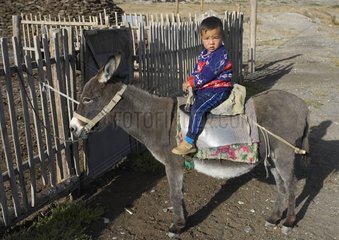 Enfant montant un âne attaché à une barrière