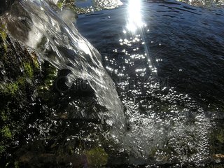 Runnig -Wasser eines Feder Aubrac Lozère Frankreich