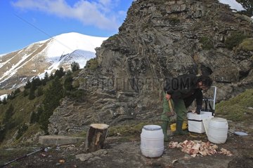 Fütterungsstation für Geier Pyrenäen Spanien