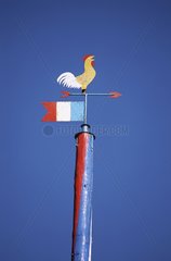 Fettige Stange mit einem Schwanz und einem Windfahne Frankreich