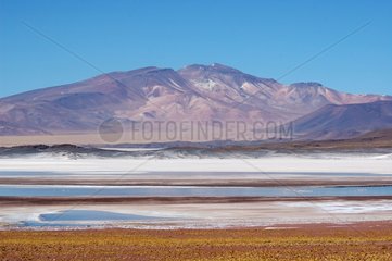 Salar de Talar Road Paso de Sico Atacama Chili