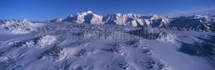 Anblick zum Massiv des Berg Blanc Haute-Savoie