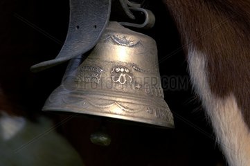 Bell fixed on the neck of a Cow montbeliarde Doubs