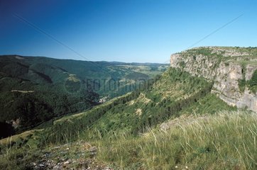 Typische Landschaft von Causse Méjean Frankreich 48