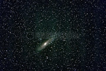 Galaxie d'Andromède M31 dans l'immensité étoilée