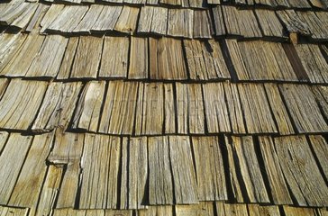 Wooden tiles of the roof of an environmental home