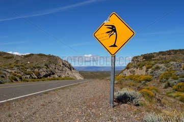 Danger Road Panel Patagonia Argentinien Wind