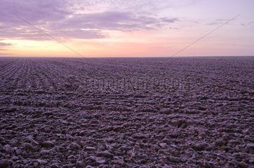Frozen ploughed field at sunset Sotteville France