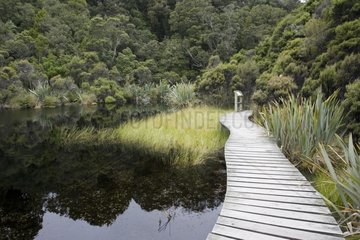 Boardwalk around Lake Wilkie near Tautuku Bay New Zealand