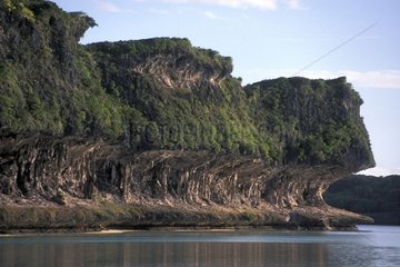 Seaside cliffs of Lékine Ouvea Island New-Caledonia