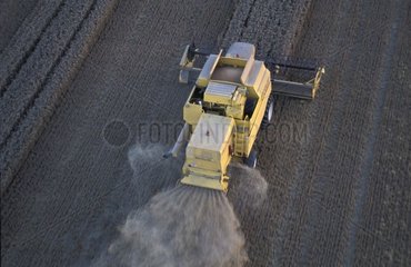 Moissonneuse collecting hybrid corn in Picardy plain [AT]