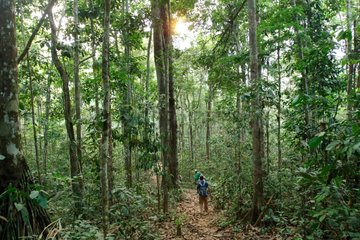 Inspection tour operating Antimari Forest Brazil