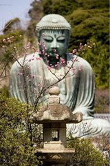 Buddha Imperial City of Kamakura Japan [AT]
