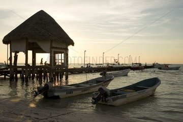 Fischereihalsboote am abendlichen karibischen Meer Mexiko