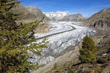 Aletsch Gletscher lÃ¤ngste Europa Valais Schweiz
