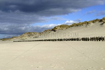 Poteaux de bois pour protéger la dune et fixer le sable
