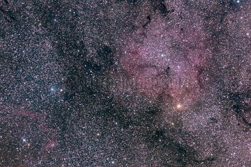 Complexe nébulaire IC1396 dans la constellation de Céphée