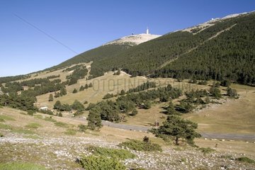 Mont Herein Skigebiet auf Mount Ventoux Hängen im Sommer