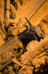 Gargoyle of the Cathedral of Rheims France