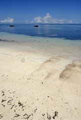 Tropenstrand auf der Insel Praslin Seychellen