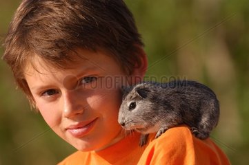 Enfant avec son cochon d'Inde gris sur l'épaule