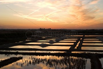 Salz-Marsh von Guérande bei Tagesanbruch Frankreich