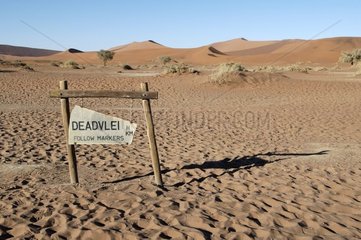 Panel Dead Vlei in Namib-Naukluf Namibia