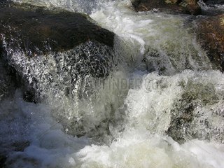Water flowing between rocks Aubrac