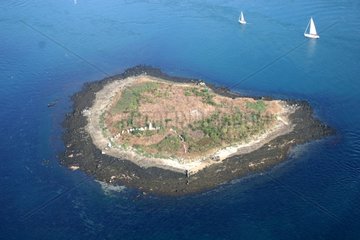 Megalithische Stätte der Insel Lannic Morbihan Frankreich