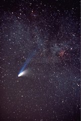 La comète Hale-Bopp et la nébuleuse North America du Cygne