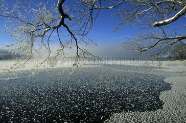 Lac d'Ilay gelé en hiver Jura France