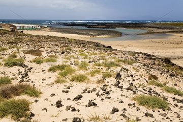 Nordküste von Fuerteventura Canary Islands