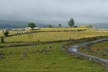 Landscape in the spring of Aubrac