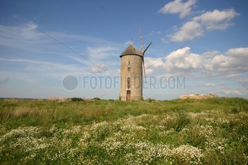 Cassepot Windmühle im Frühjahr Lehon Brittany Frankreich