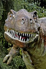 Tyrannosaurus rex du Crétacé supérieur France