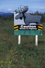 Road panel of warning of the presence of Dashes Canada
